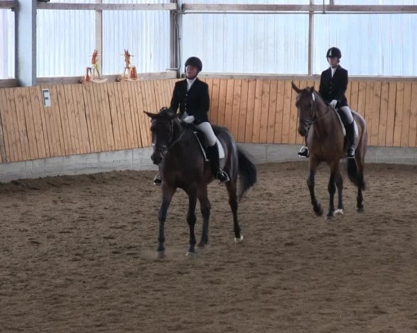 Großes Reit- und Springturnier 2013 des RuF