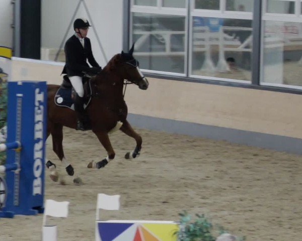 Reitturnier Borken 2024