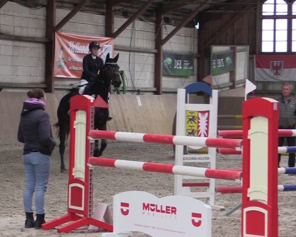 Reitturnier Elisenau 2024