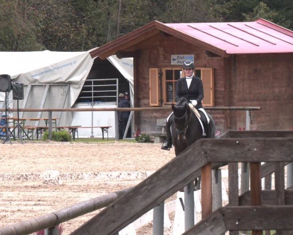 Reitturnier Igls 2024