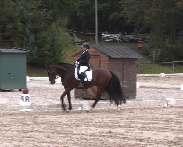 Reitturnier Igls 2024