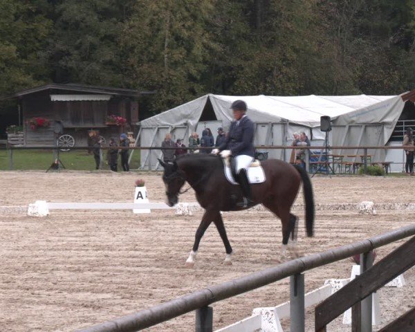 Reitturnier Igls 2024
