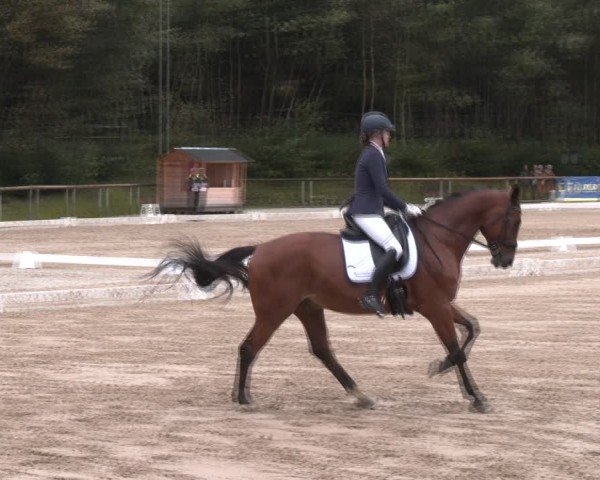 Reitturnier Igls 2024