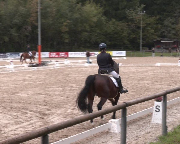 Reitturnier Igls 2024