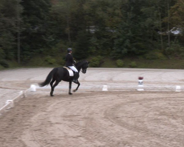 Reitturnier Igls 2024