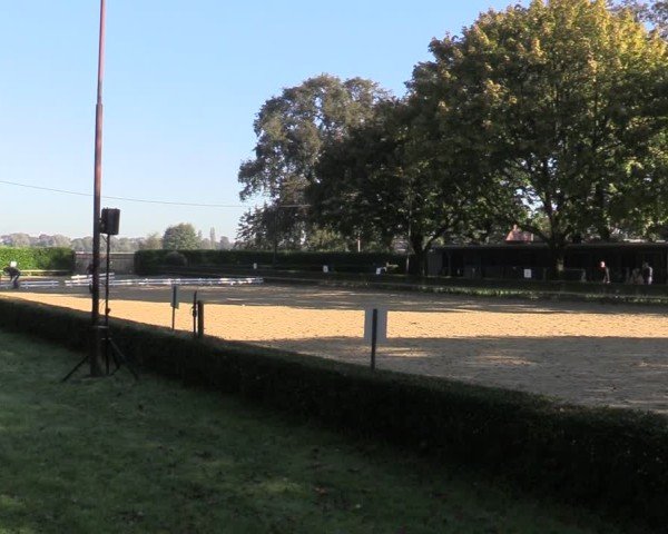 Reitturnier Bottrop-Kirchhellen 2024
