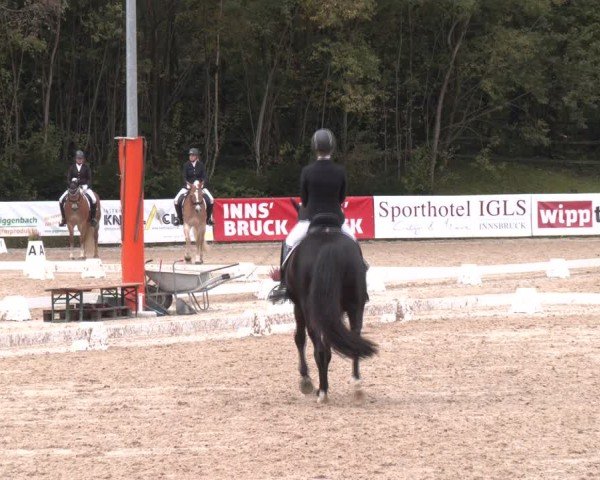 Reitturnier Igls 2024