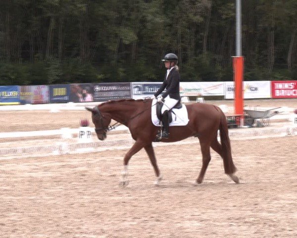 Reitturnier Igls 2024