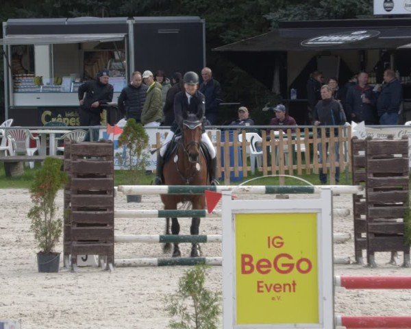 Reitturnier Pietzpuhl 2024