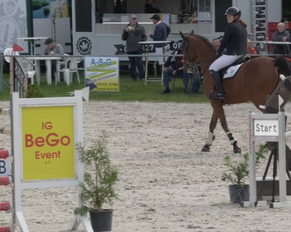 Reitturnier Pietzpuhl 2024