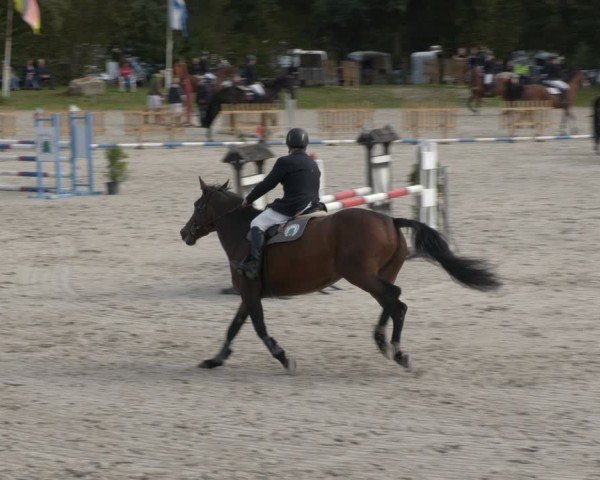 Reitturnier Pietzpuhl 2024
