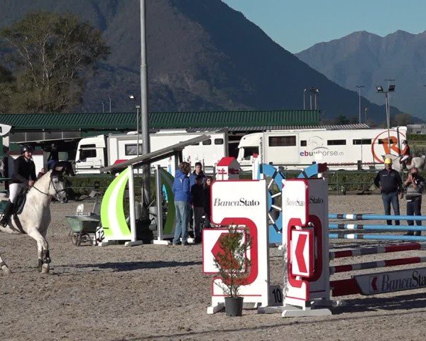 Reitturnier Giubiasco 2024