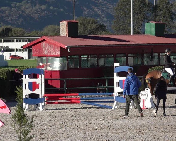 Reitturnier Giubiasco 2024