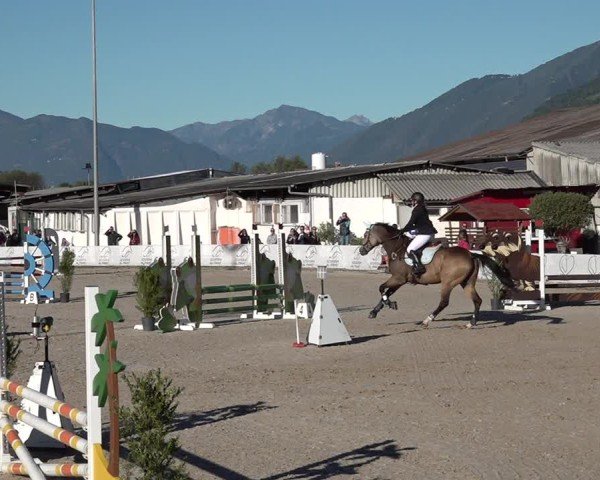 Reitturnier Giubiasco 2024