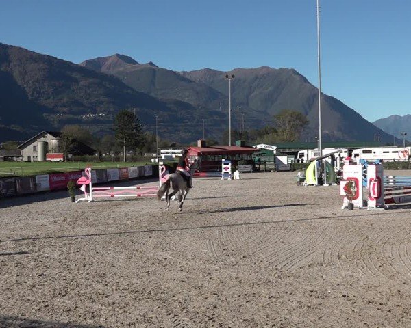 Reitturnier Giubiasco 2024