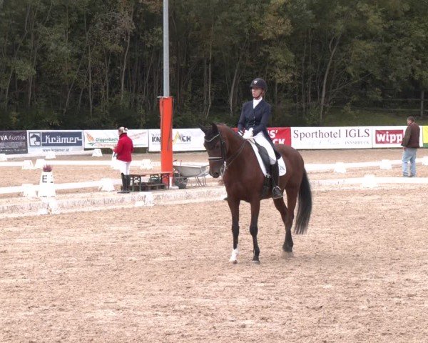 Reitturnier Igls 2024