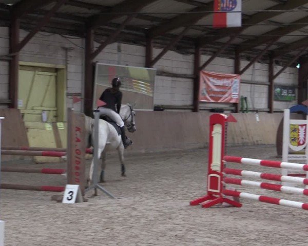 Reitturnier Elisenau 2024