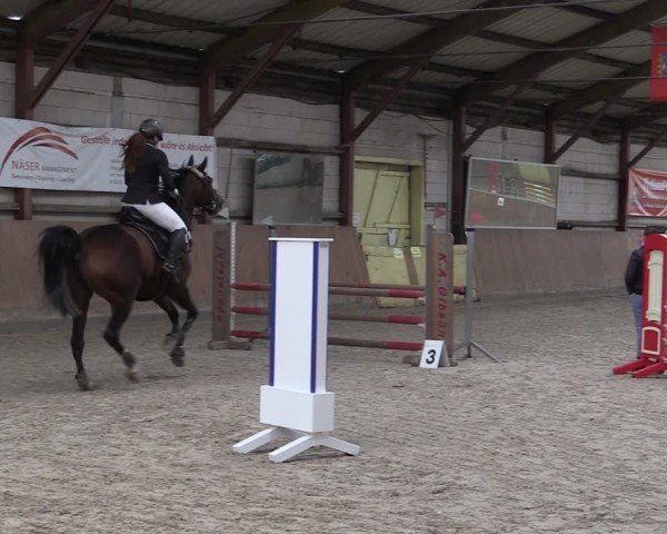 Reitturnier Elisenau 2024