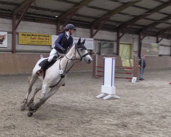 Reitturnier Elisenau 2024
