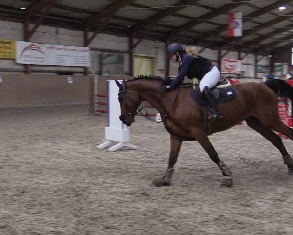 Reitturnier Elisenau 2024