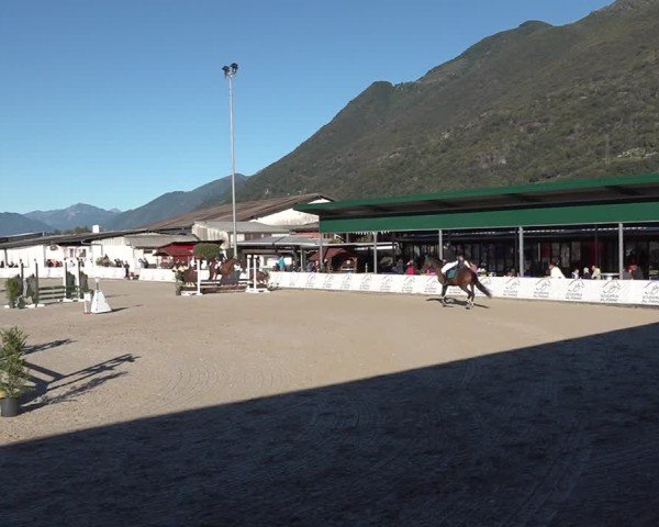 Reitturnier Giubiasco 2024