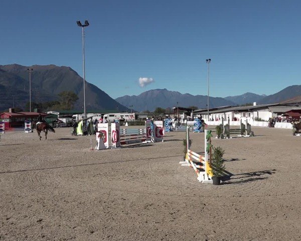 Reitturnier Giubiasco 2024
