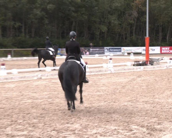 Reitturnier Igls 2024