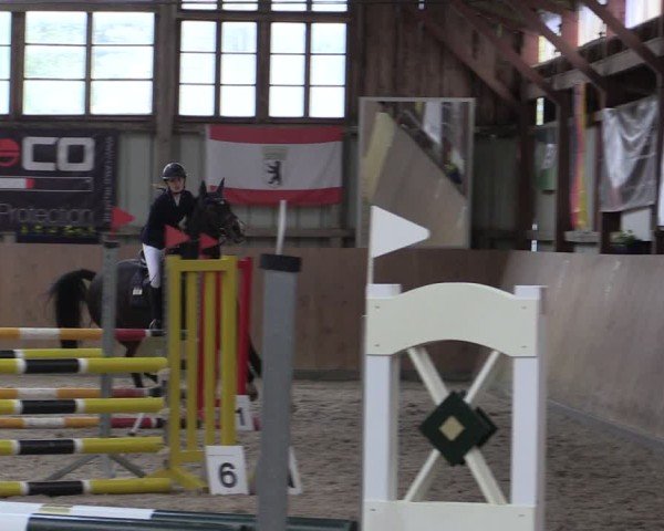 Reitturnier Elisenau 2024