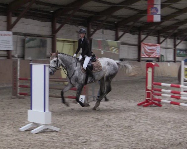 Reitturnier Elisenau 2024