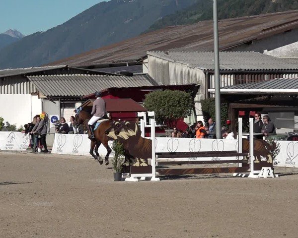 Reitturnier Giubiasco 2024