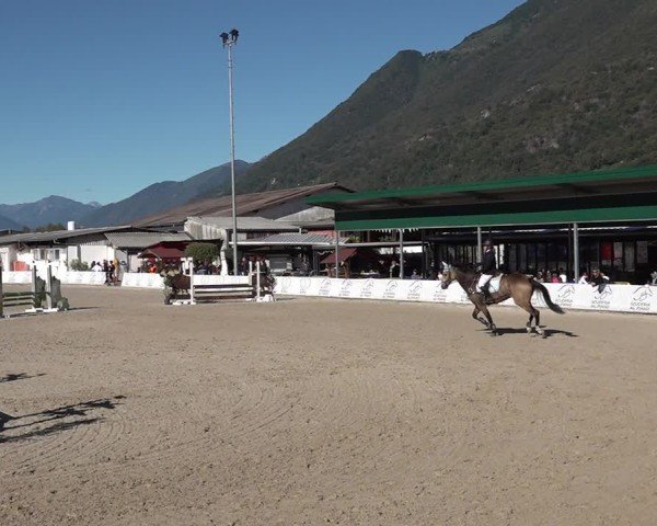 Reitturnier Giubiasco 2024