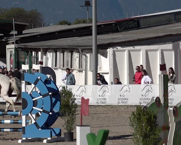 Reitturnier Giubiasco 2024