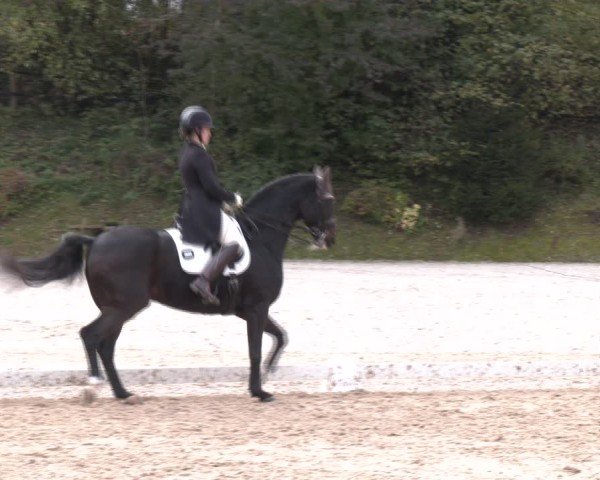 Reitturnier Igls 2024