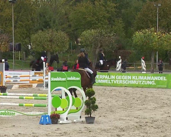 Reitturnier Frankenhof-Sonnefeld/Ofr. 2024