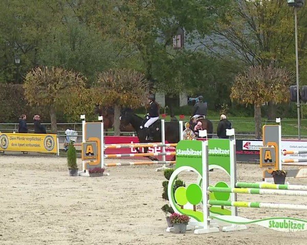 Reitturnier Frankenhof-Sonnefeld/Ofr. 2024
