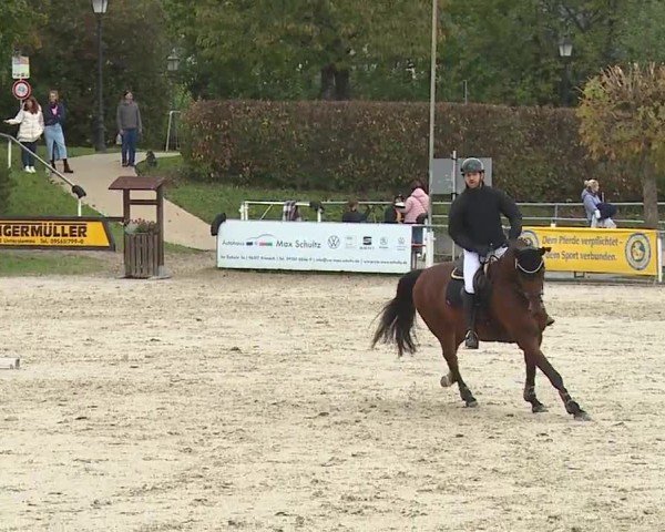 Reitturnier Frankenhof-Sonnefeld/Ofr. 2024