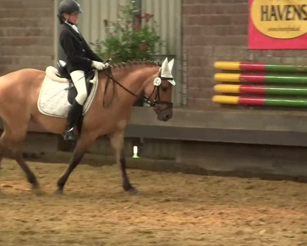 Kevelaer-Wetten 2013
