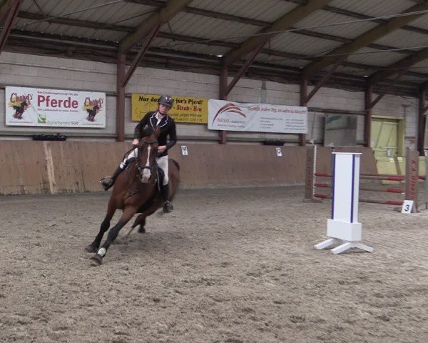 Reitturnier Elisenau 2024