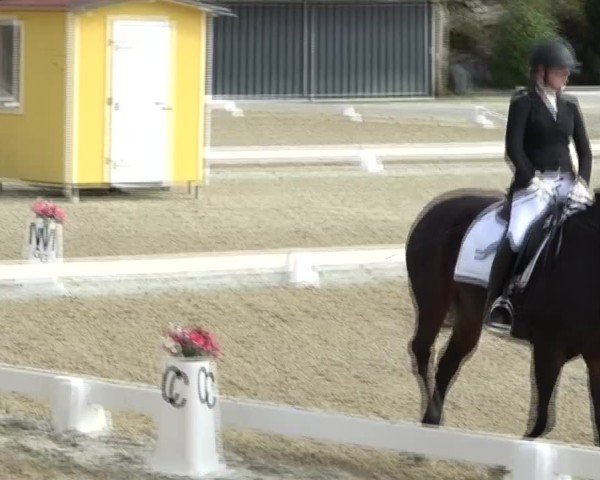 Reitturnier St. Margarethen 2024