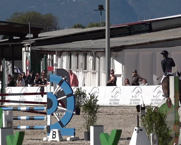 Reitturnier Giubiasco 2024