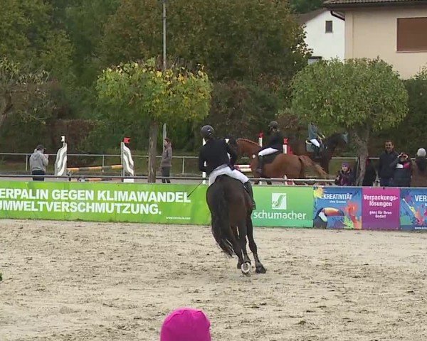 Reitturnier Frankenhof-Sonnefeld/Ofr. 2024