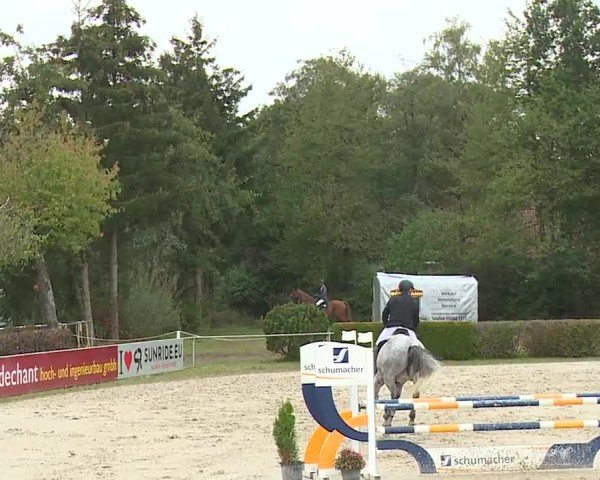 Reitturnier Frankenhof-Sonnefeld/Ofr. 2024