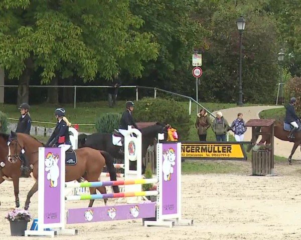 Reitturnier Frankenhof-Sonnefeld/Ofr. 2024