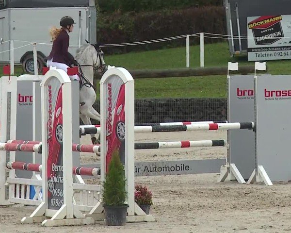 Reitturnier Frankenhof-Sonnefeld/Ofr. 2024