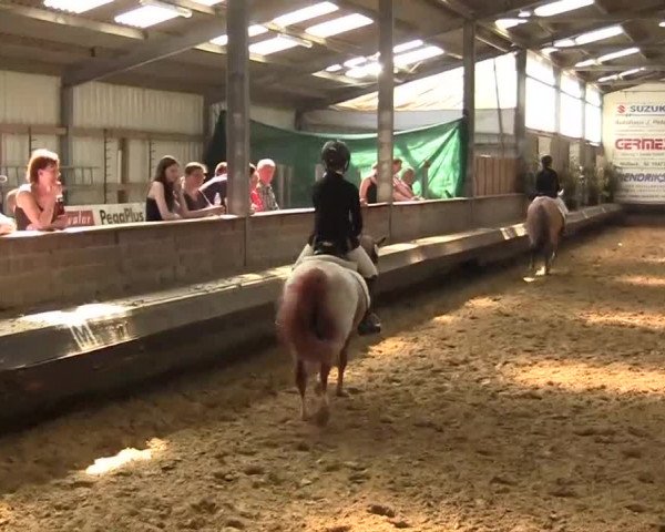 Reitturnier Kevelaer-Wetten 2013