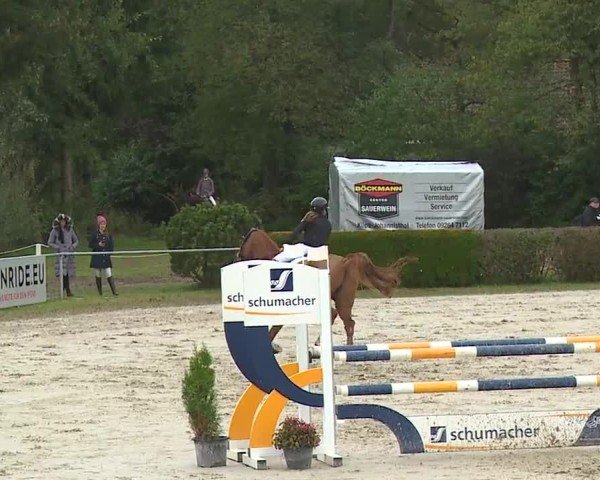 Reitturnier Frankenhof-Sonnefeld/Ofr. 2024