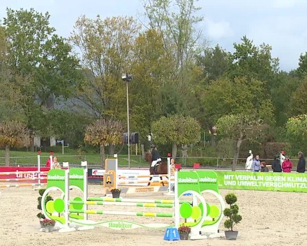 Reitturnier Frankenhof-Sonnefeld/Ofr. 2024