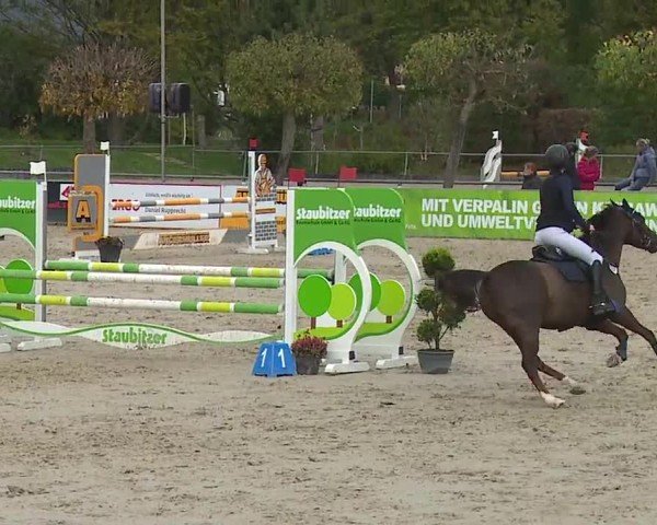 Reitturnier Frankenhof-Sonnefeld/Ofr. 2024