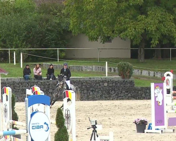 Reitturnier Frankenhof-Sonnefeld/Ofr. 2024