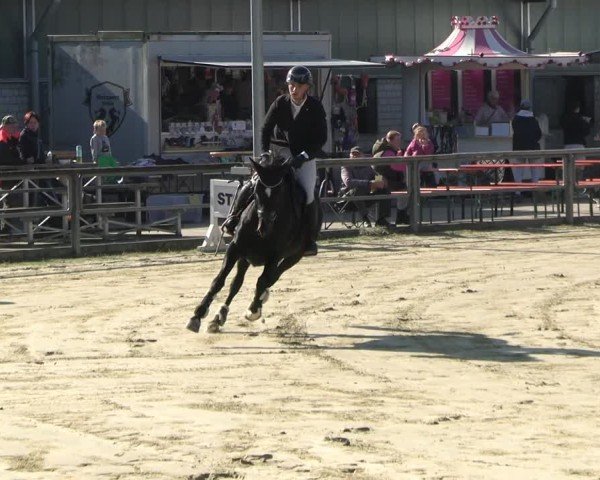 Reitturnier Kamen 2024